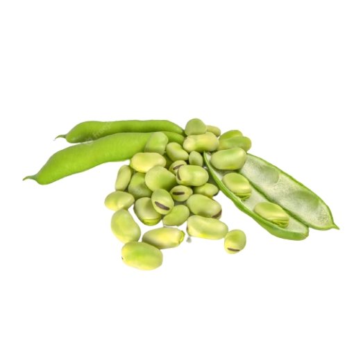 İç bakla 1 kg - Feradistaze