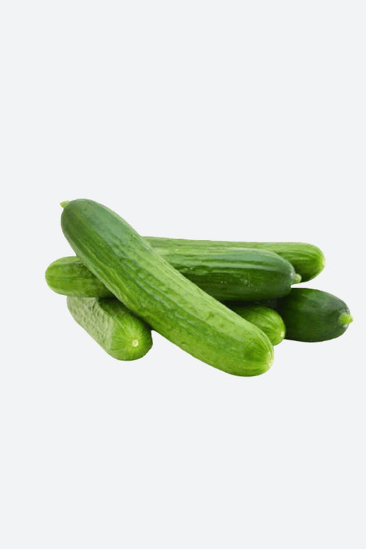 Organik Salatalık 1 kg - Feradistaze